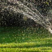 2057830669c0a661152698a5b73028b7